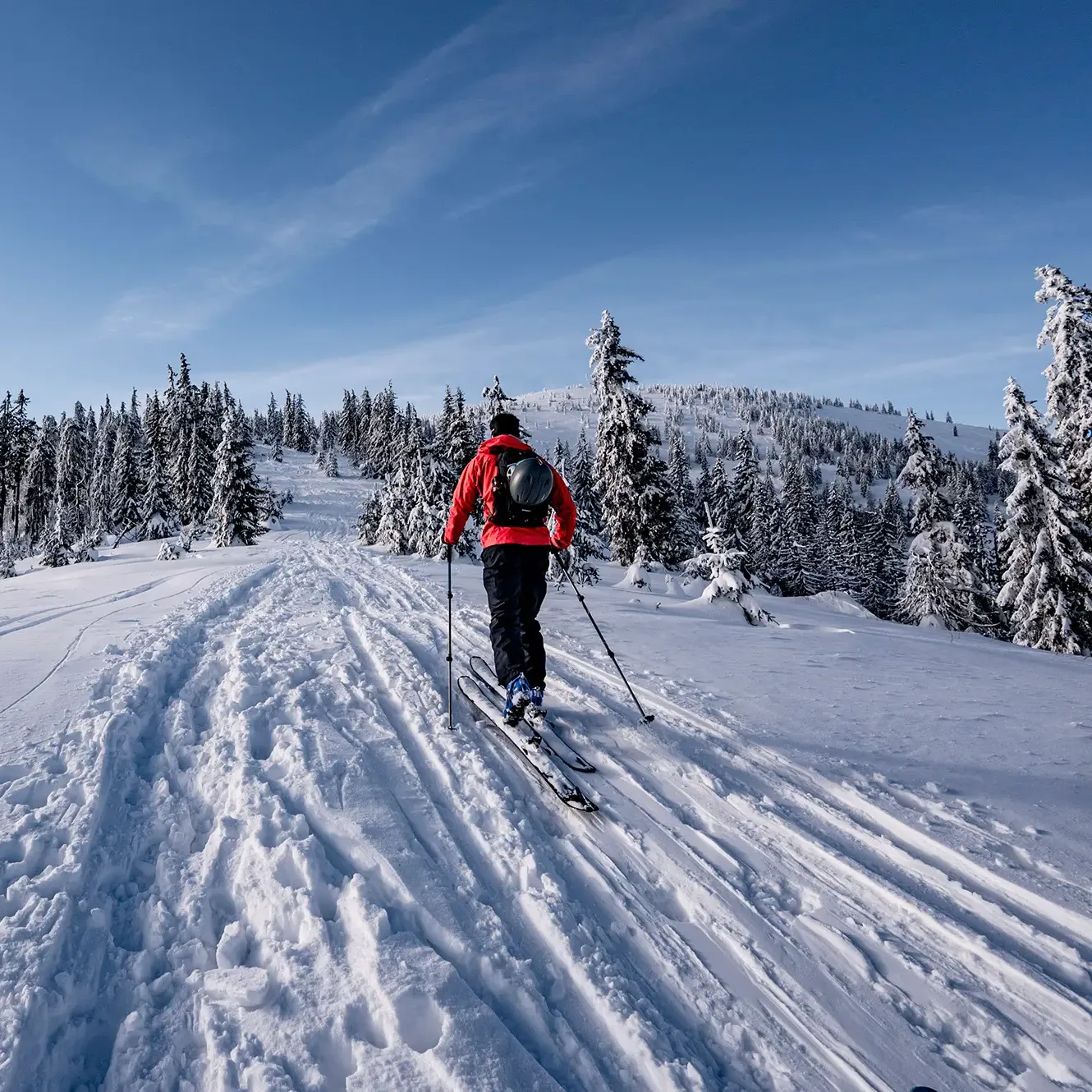 Freerando, Ski de randonnée & Splitboard