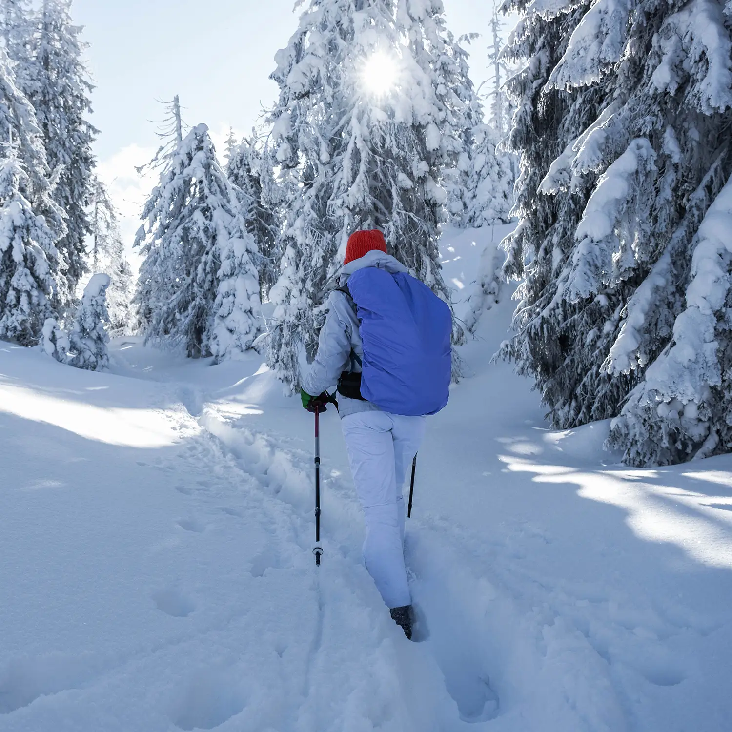 Pourquoi choisir Snocool à Sainte-Foy ? Une autre façon de vivre la montagne